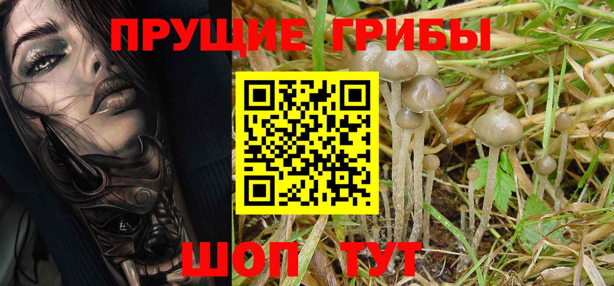 как найти закладки  Вход с VPN  Кумертау  Галлюциногенные грибы Psilocybine cubensis 